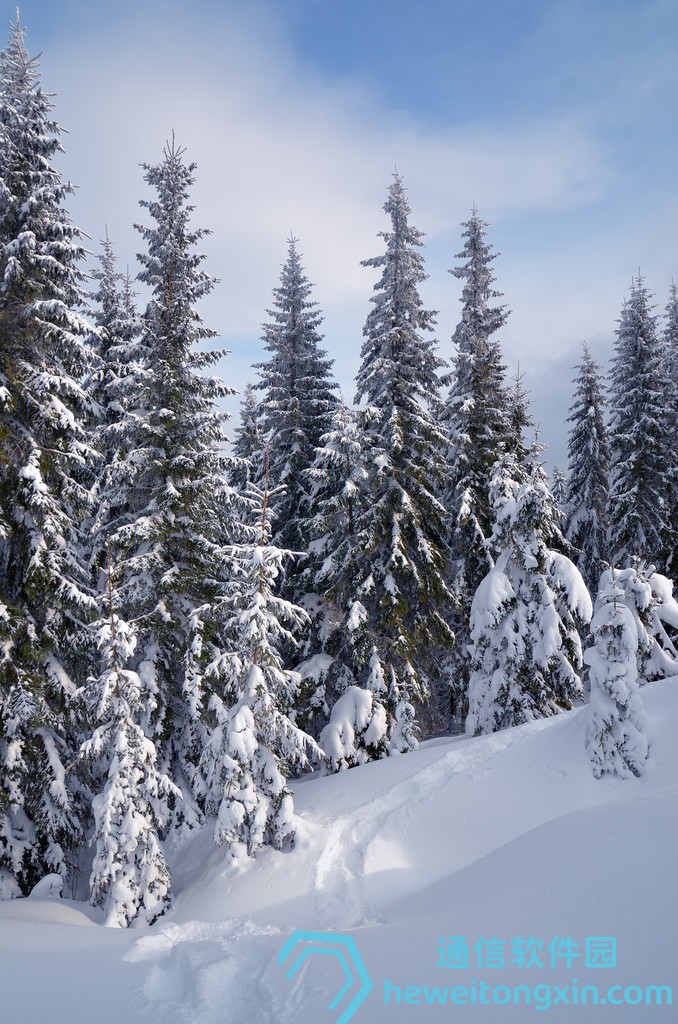 澳彩2024免費資料大全