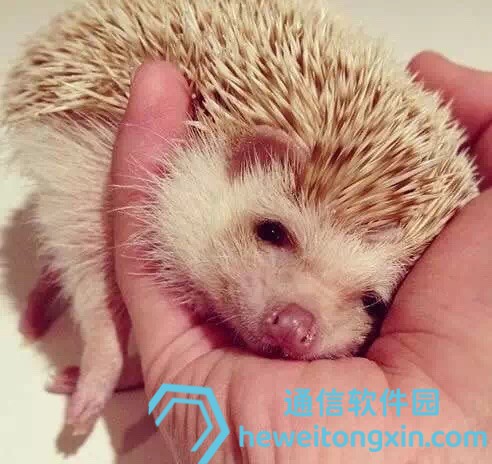 37197com澳彩資料查詢