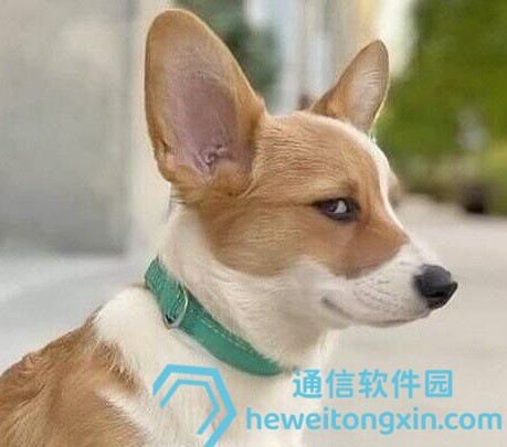 新澳門2025天天開好彩