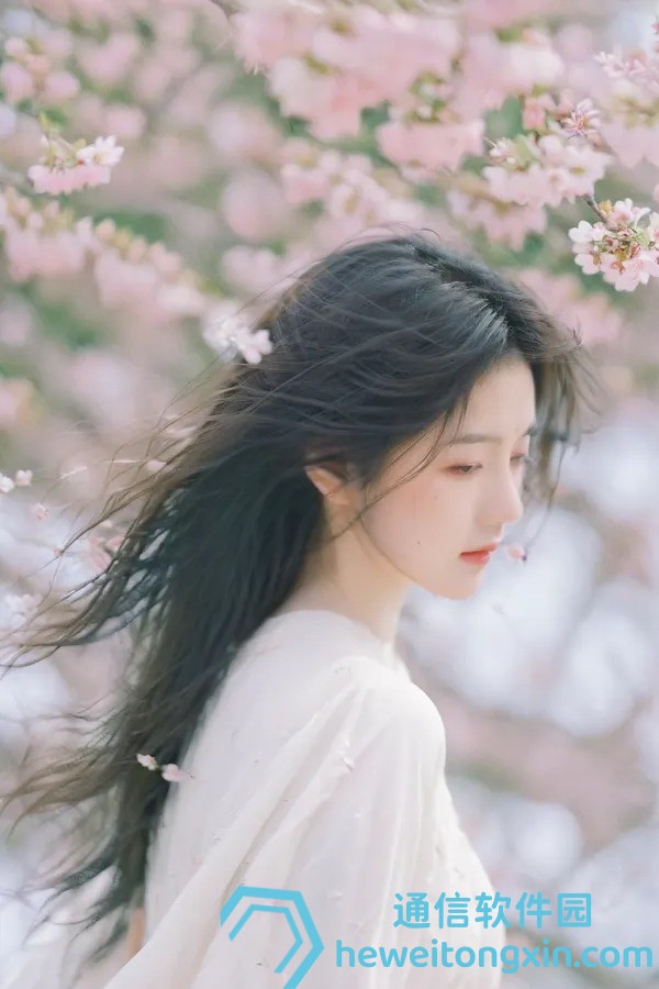 澳門4949彩論壇高手：揭秘彩壇的傳奇之路