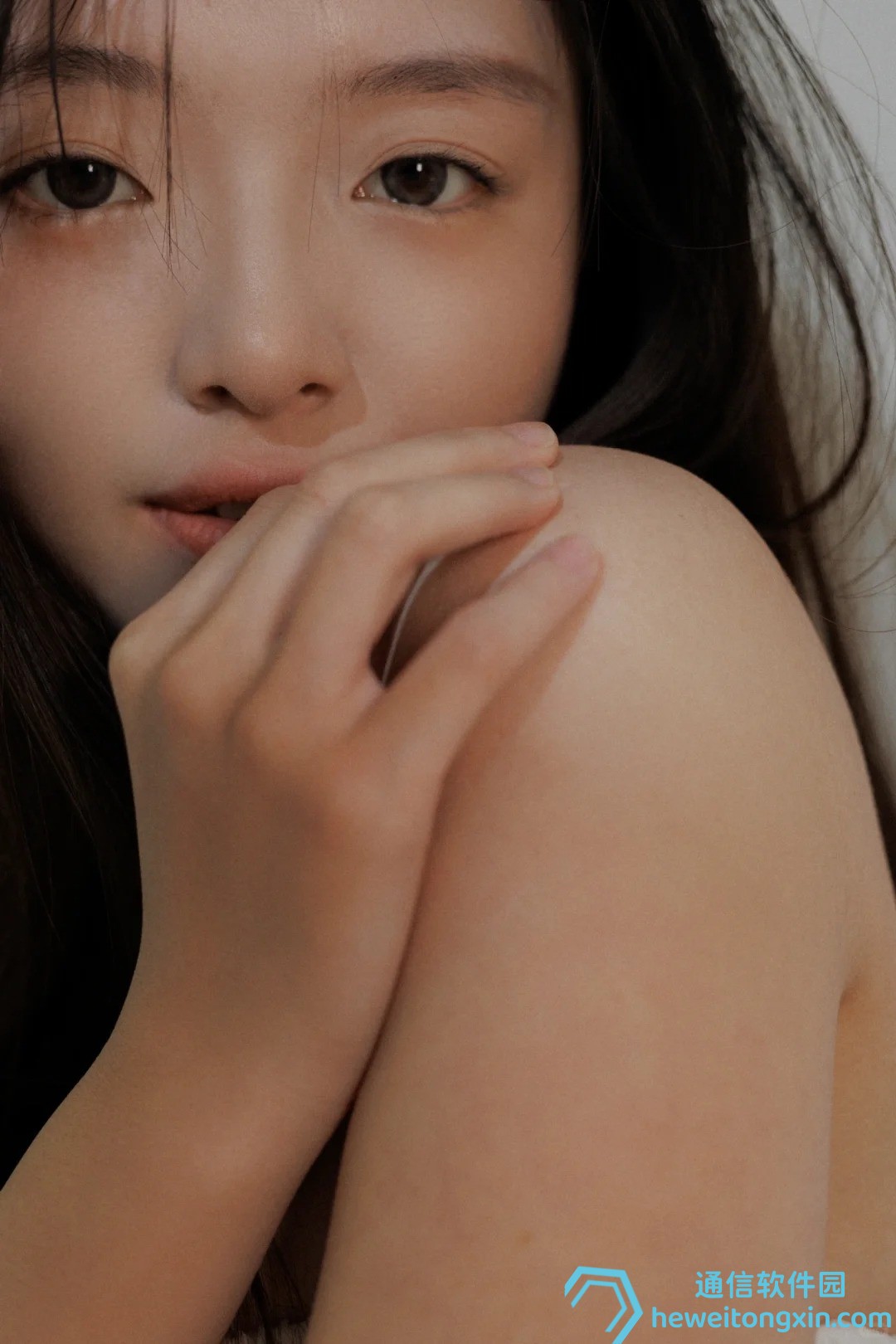 今晚必讀：2025四不像圖今晚最新彩圖與解析