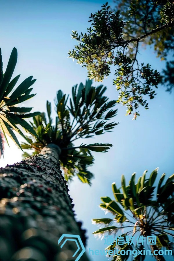 獨(dú)家送達(dá):香港最準(zhǔn)的100免費(fèi)資料完整合集速取