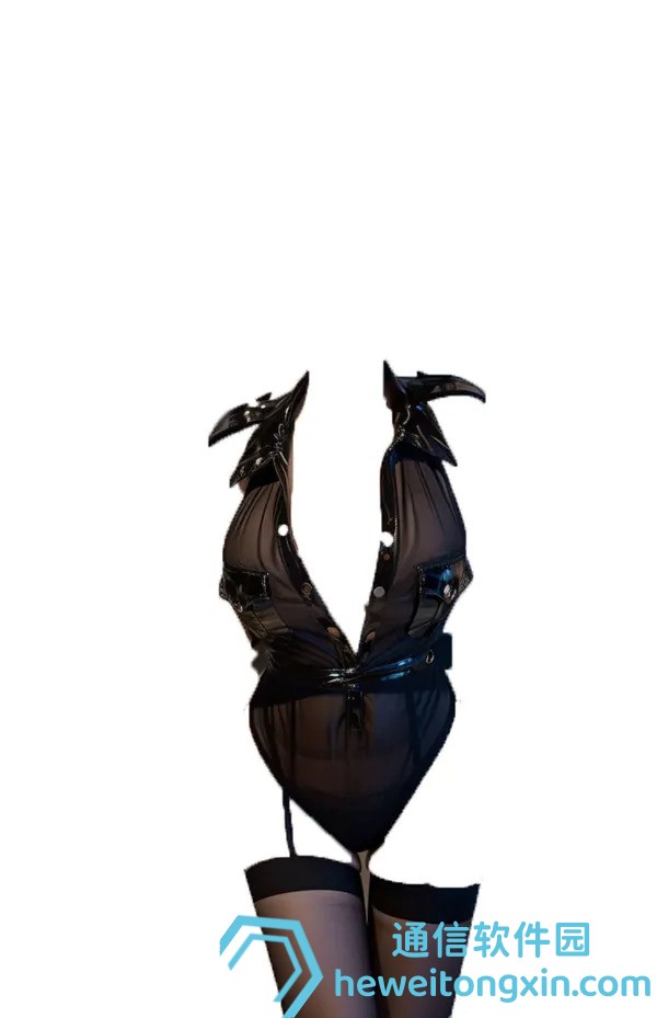 專(zhuān)家推薦：2025年精準(zhǔn)四不像正版054命中要訣速查