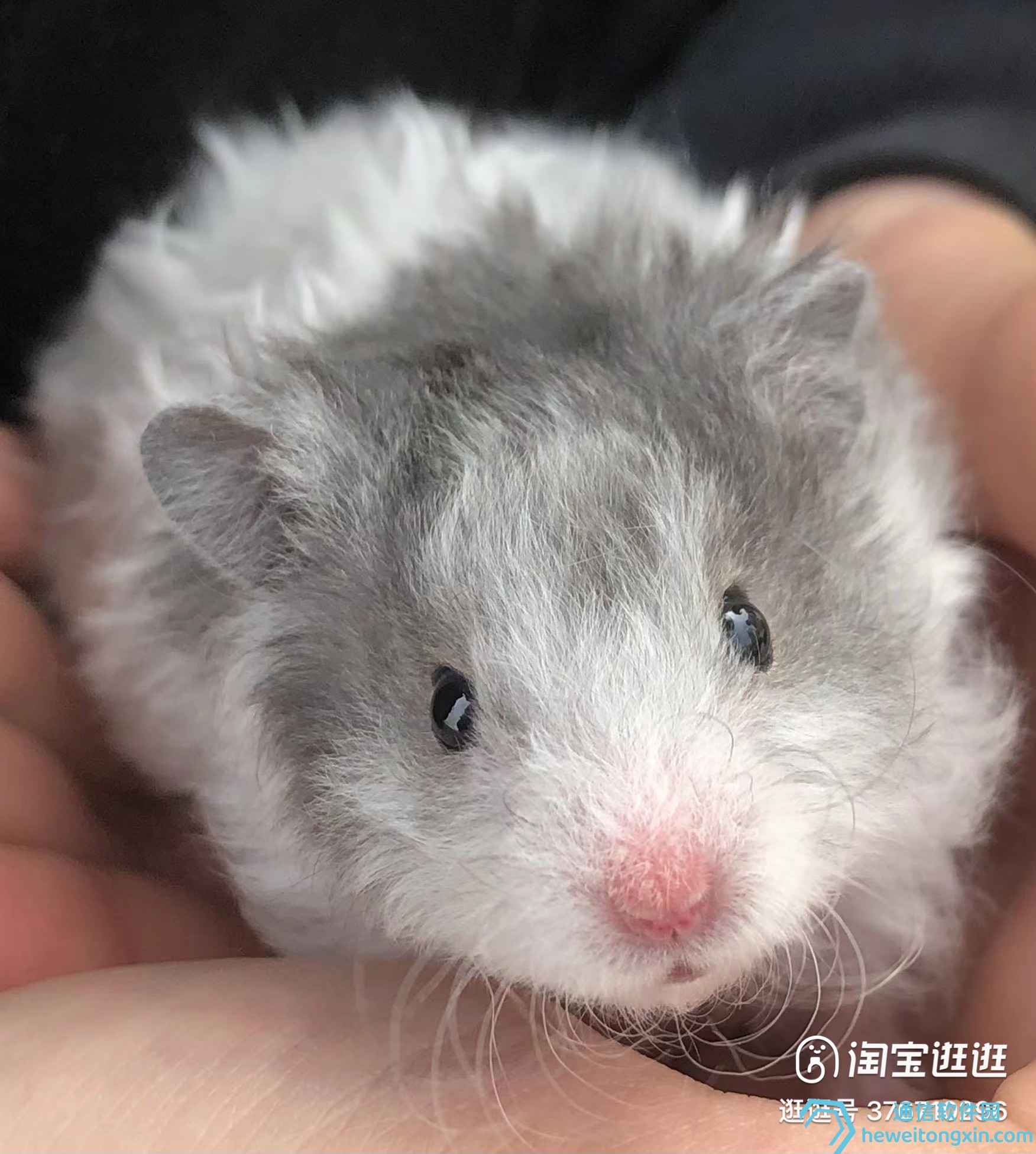 一站式查詢(xún)：香港和澳門(mén)開(kāi)彩結(jié)果歷史大全（含圖表與趨勢(shì)分析）